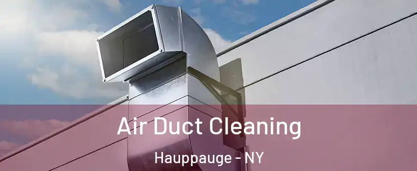  Air Duct Cleaning Hauppauge - NY