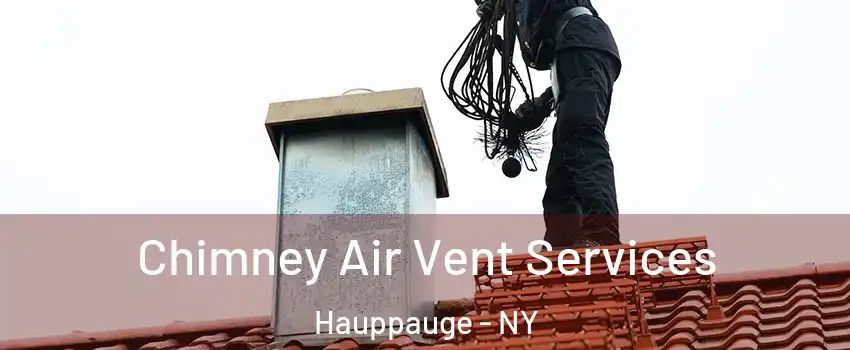  Chimney Air Vent Services Hauppauge - NY