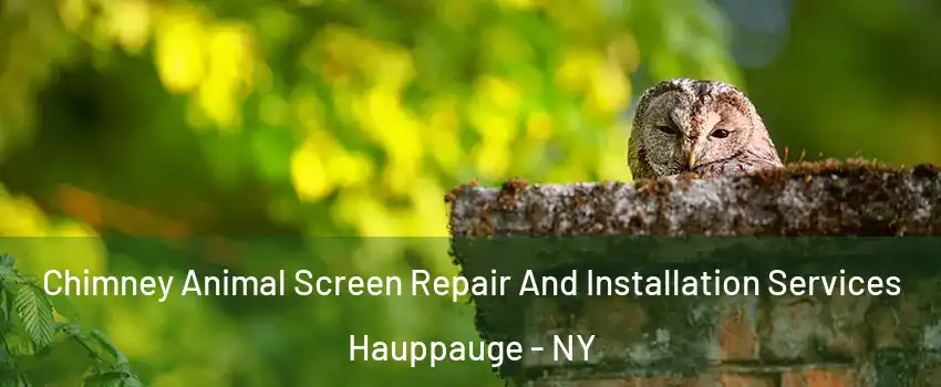  Chimney Animal Screen Repair And Installation Services Hauppauge - NY