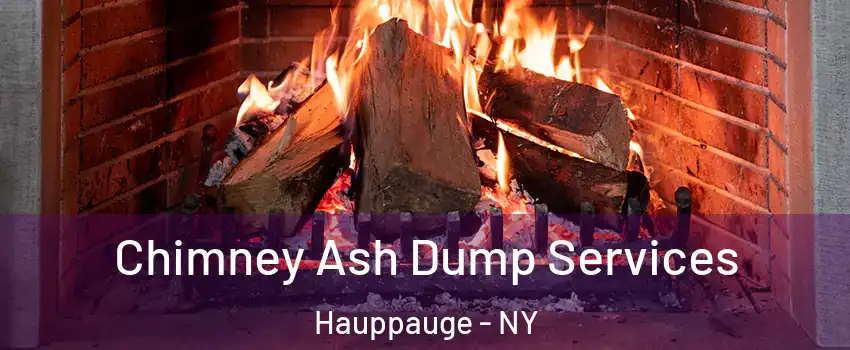 Chimney Ash Dump Services Hauppauge - NY
