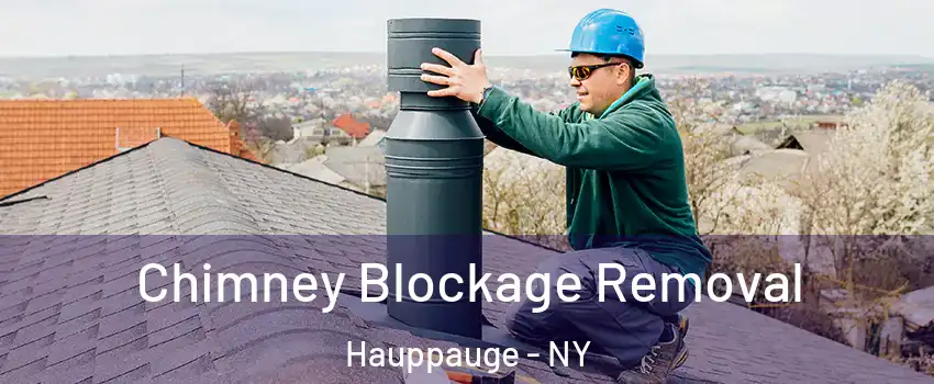  Chimney Blockage Removal Hauppauge - NY