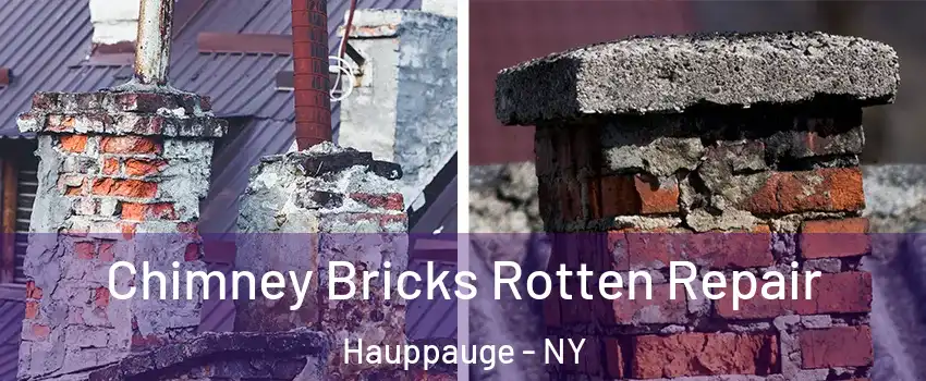  Chimney Bricks Rotten Repair Hauppauge - NY