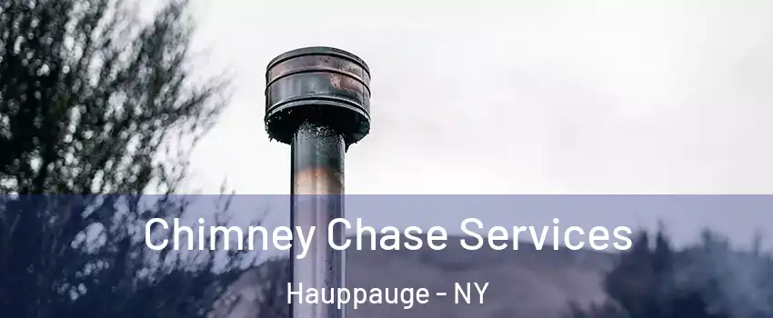  Chimney Chase Services Hauppauge - NY