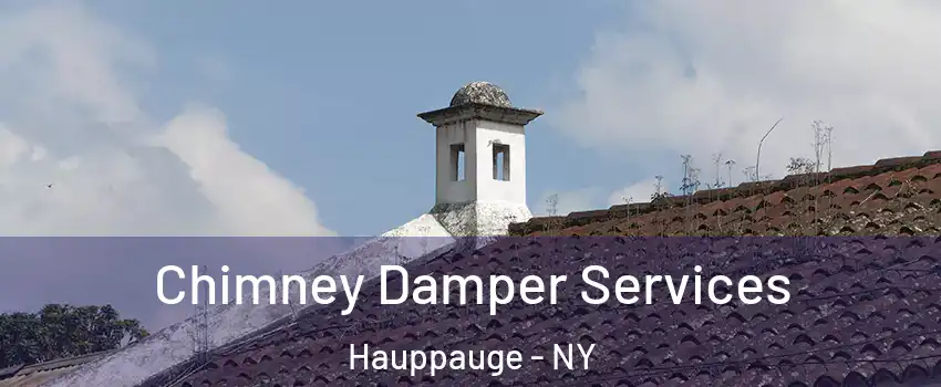  Chimney Damper Services Hauppauge - NY