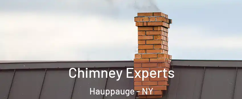  Chimney Experts Hauppauge - NY
