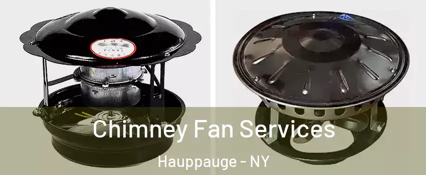  Chimney Fan Services Hauppauge - NY