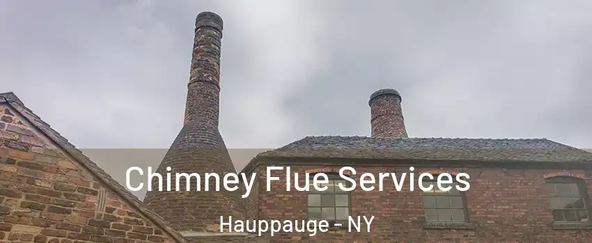  Chimney Flue Services Hauppauge - NY