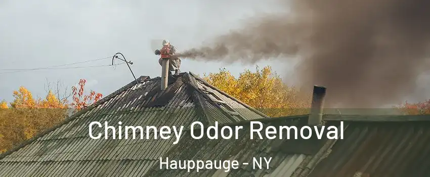  Chimney Odor Removal Hauppauge - NY