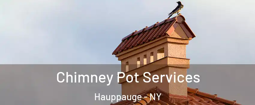  Chimney Pot Services Hauppauge - NY