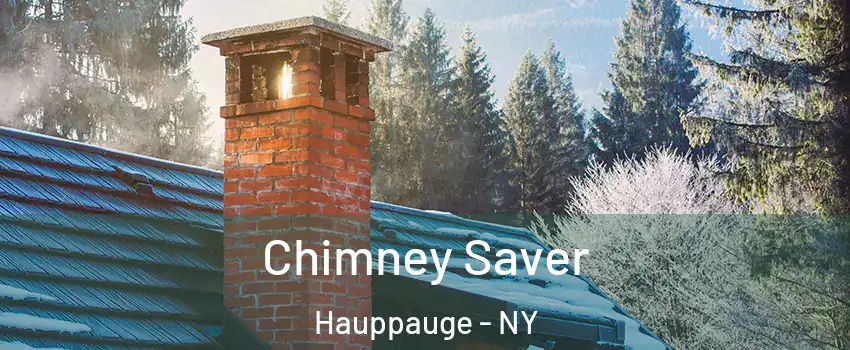  Chimney Saver Hauppauge - NY