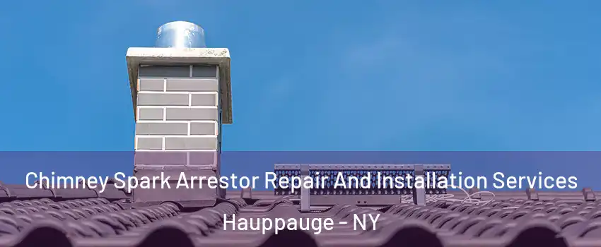  Chimney Spark Arrestor Repair And Installation Services Hauppauge - NY