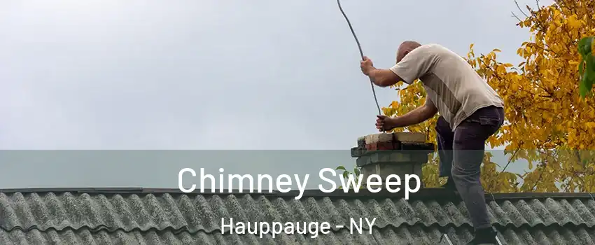  Chimney Sweep Hauppauge - NY