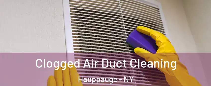  Clogged Air Duct Cleaning Hauppauge - NY