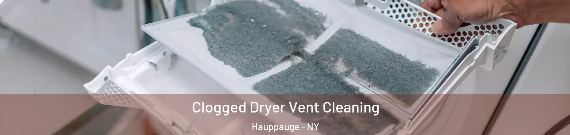  Clogged Dryer Vent Cleaning Hauppauge - NY