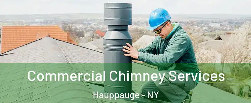  Commercial Chimney Services Hauppauge - NY