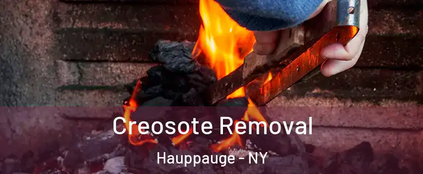  Creosote Removal Hauppauge - NY