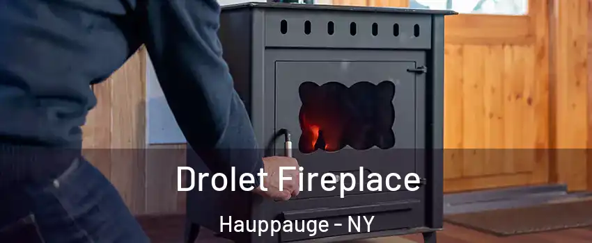  Drolet Fireplace Hauppauge - NY