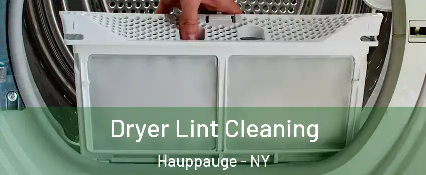  Dryer Lint Cleaning Hauppauge - NY