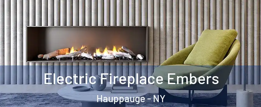  Electric Fireplace Embers Hauppauge - NY