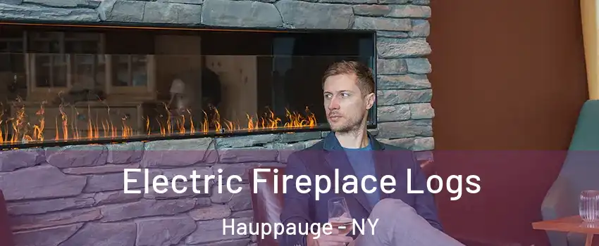 Electric Fireplace Logs Hauppauge - NY
