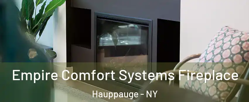  Empire Comfort Systems Fireplace Hauppauge - NY