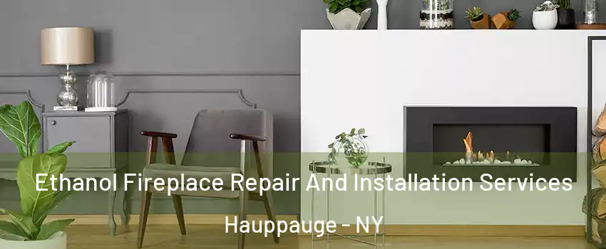  Ethanol Fireplace Repair And Installation Services Hauppauge - NY