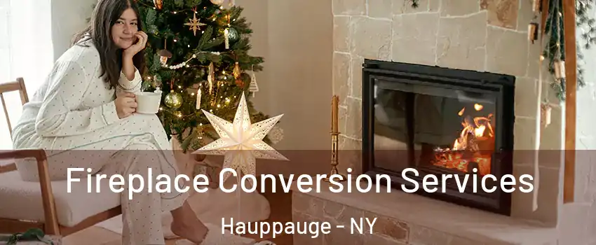  Fireplace Conversion Services Hauppauge - NY