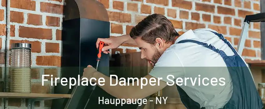  Fireplace Damper Services Hauppauge - NY