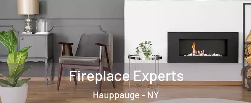  Fireplace Experts Hauppauge - NY