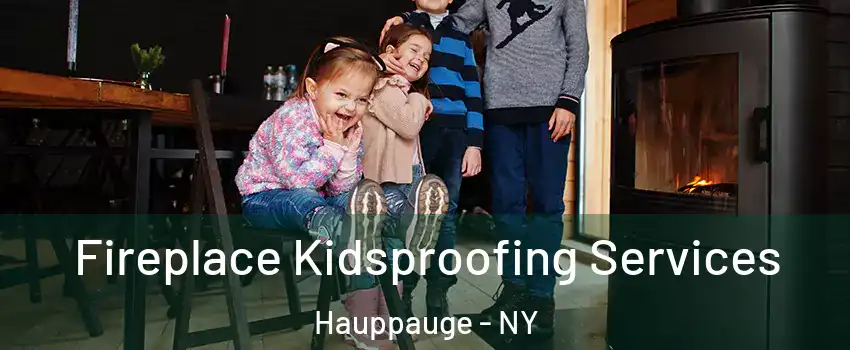  Fireplace Kidsproofing Services Hauppauge - NY