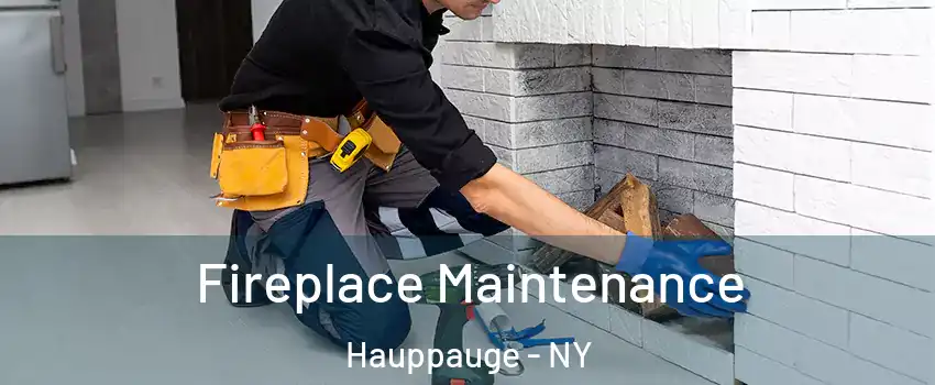  Fireplace Maintenance Hauppauge - NY