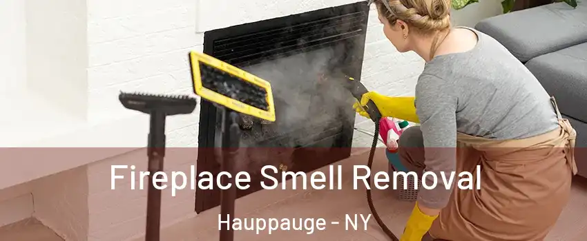  Fireplace Smell Removal Hauppauge - NY