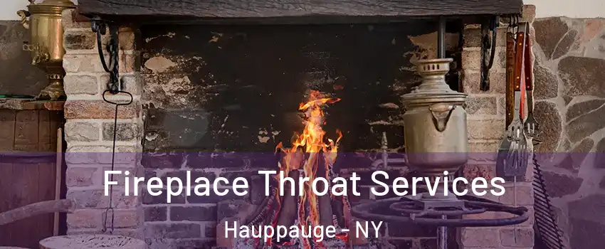  Fireplace Throat Services Hauppauge - NY