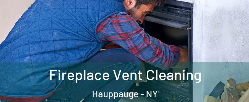  Fireplace Vent Cleaning Hauppauge - NY