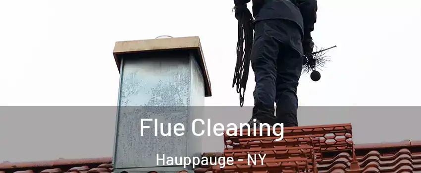  Flue Cleaning Hauppauge - NY