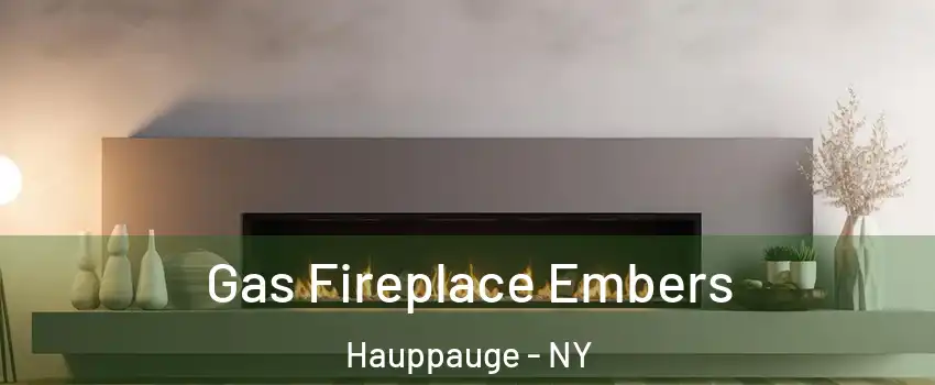  Gas Fireplace Embers Hauppauge - NY
