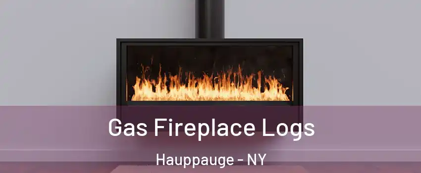  Gas Fireplace Logs Hauppauge - NY