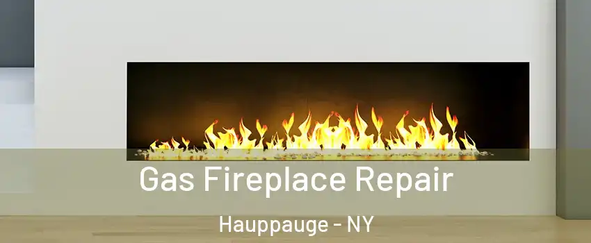  Gas Fireplace Repair Hauppauge - NY