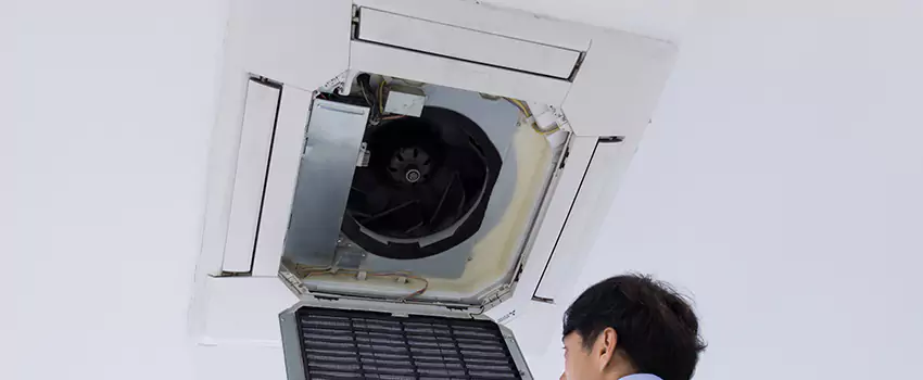 Benefits of Professional Air Duct Cleaning in Hauppauge, New York