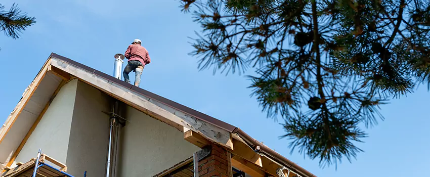 Birds Removal Contractors from Chimney in Hauppauge, NY