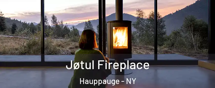  Jøtul Fireplace Hauppauge - NY