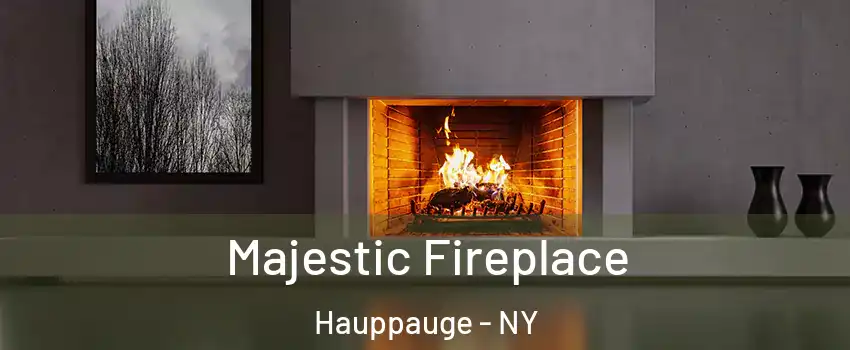  Majestic Fireplace Hauppauge - NY
