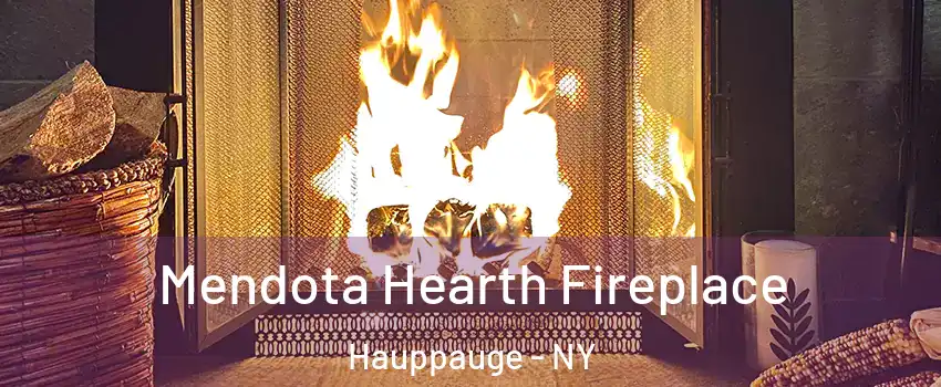  Mendota Hearth Fireplace Hauppauge - NY