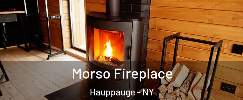  Morso Fireplace Hauppauge - NY
