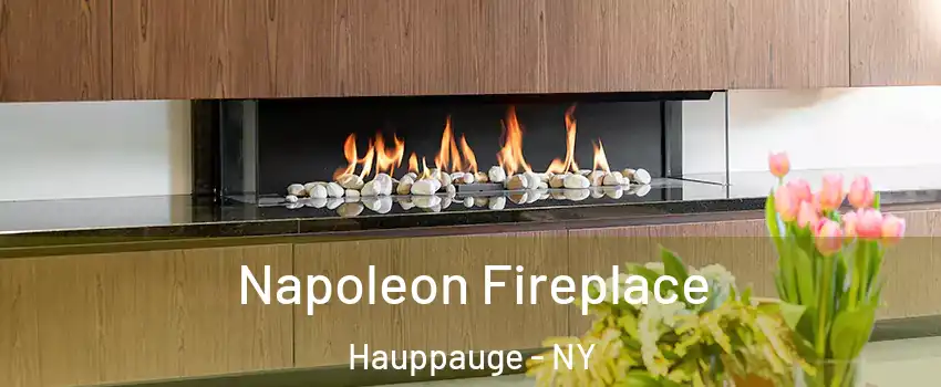  Napoleon Fireplace Hauppauge - NY