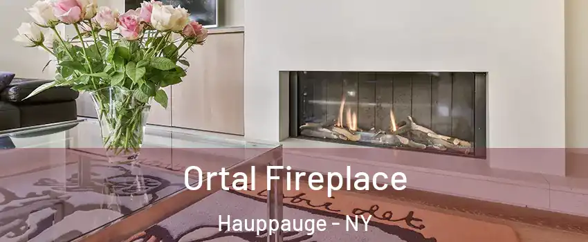 Ortal Fireplace Hauppauge - NY