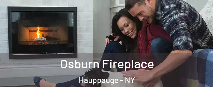  Osburn Fireplace Hauppauge - NY