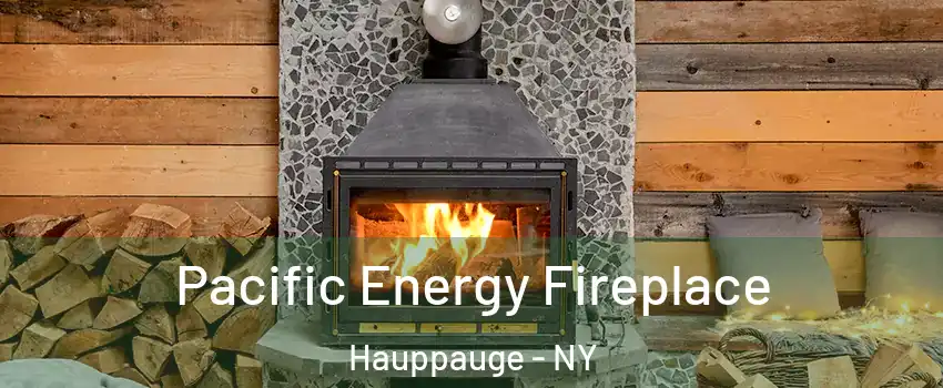  Pacific Energy Fireplace Hauppauge - NY