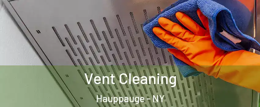 Vent Cleaning Hauppauge - NY