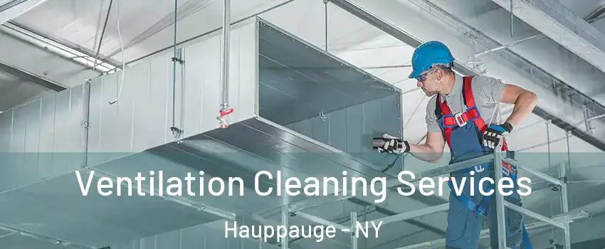  Ventilation Cleaning Services Hauppauge - NY